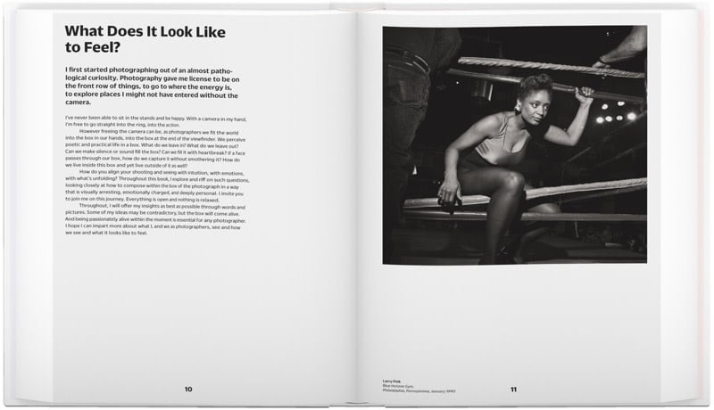 Larry Fink On Composition and Improvisation (The Photography Workshop Series)