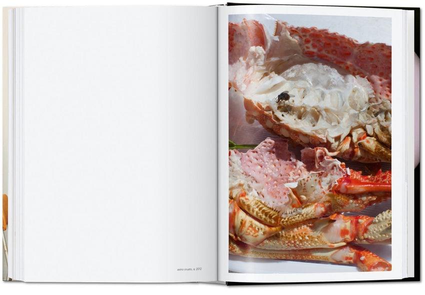 Wolfgang Tillmans: Four Books