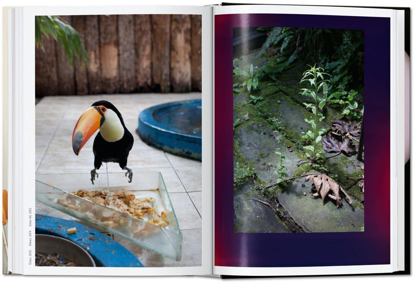 Wolfgang Tillmans: Four Books
